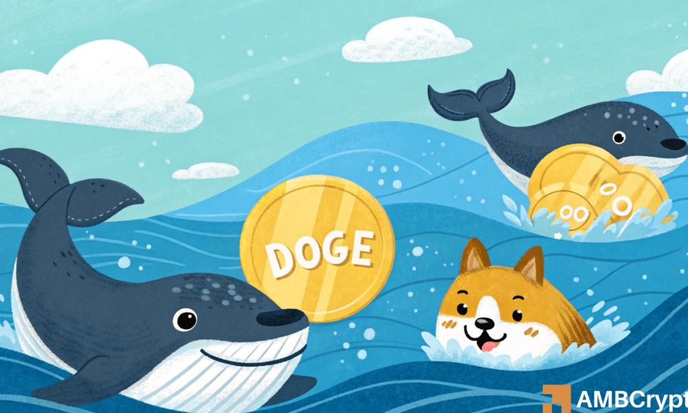 狗狗币:鲸鱼能帮助DOGE实现0.50美元的目标吗?