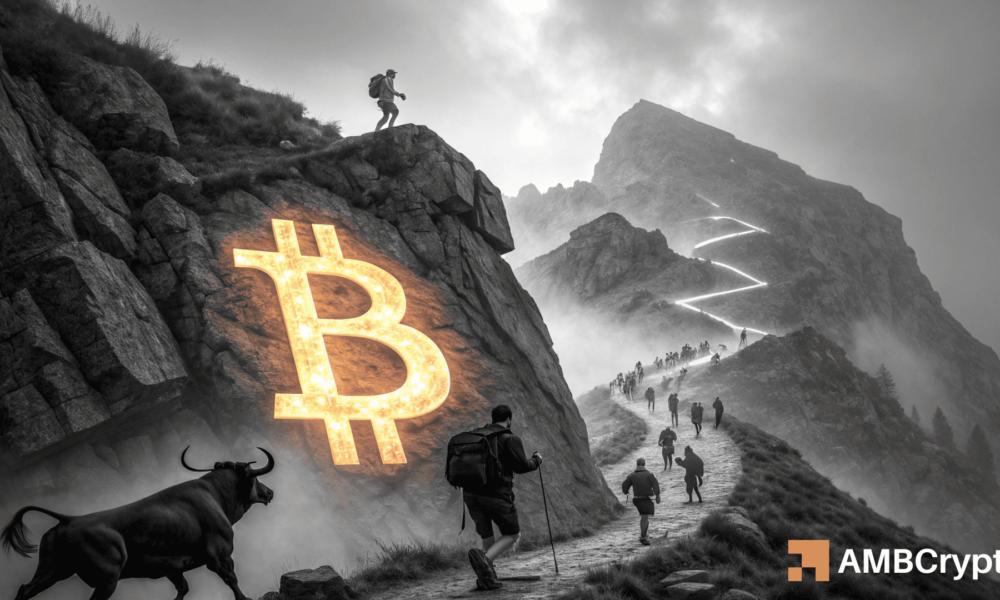 比特币价格下跌10%,鲸鱼可能推动BTC价格至111,000美元——策略揭秘!