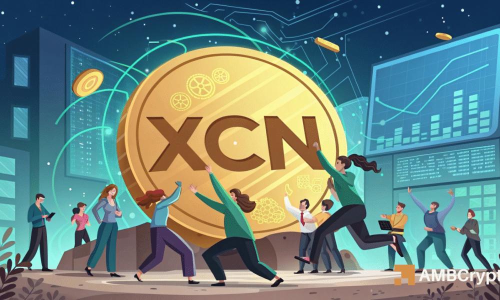 鲸鱼持续增持 Onyxcoin – XCN，价格能超过0.03美元吗？