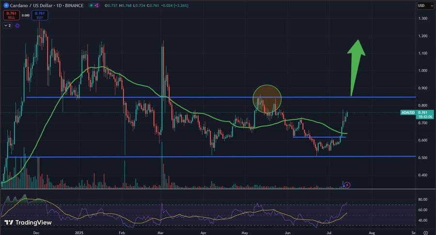 Analyst: Do Not Sell Cardano Before Reaching in This Cycle