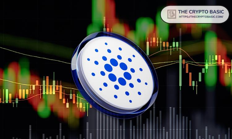 如果 Cardano 的供应量减少50%，其价格如何变化？