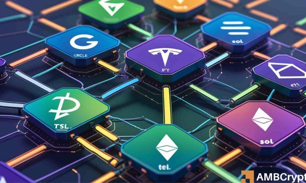 代币化股票暴涨220％——以太坊和Solana的潜在收益机会？
